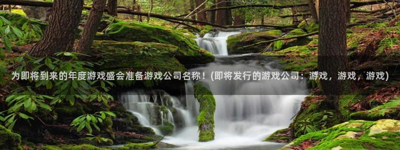 bbin视讯官网登录注册账号失败：为即将到来的年度游戏盛会准备游戏公司名称！(即将发行的游戏公司：游戏，游戏，游戏)