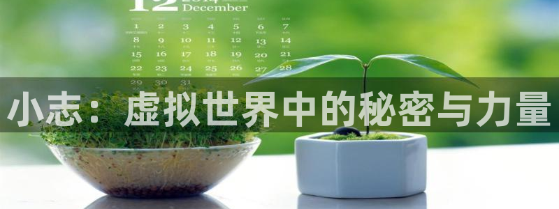 bbin视讯官网注册平台怎么样啊：小志：虚拟世界中的秘密与力量
