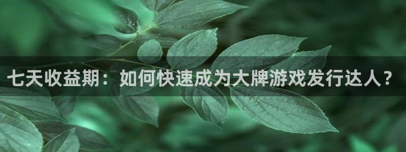 bbin视讯lvnces是什么档次：七天收益期：如何快速成为大牌游戏发行达人？