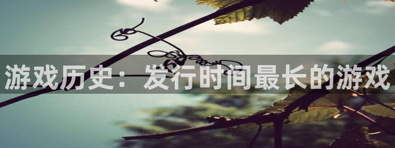 bbin视讯酒庄：游戏历史：发行时间最长的游戏