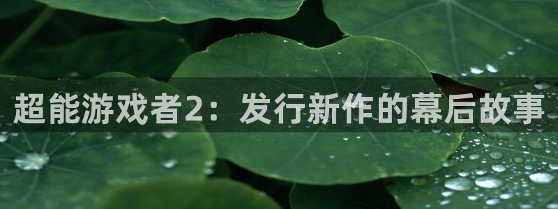 bbin视讯官网注册方法视频：超能游戏者2：发行新作的幕后故事