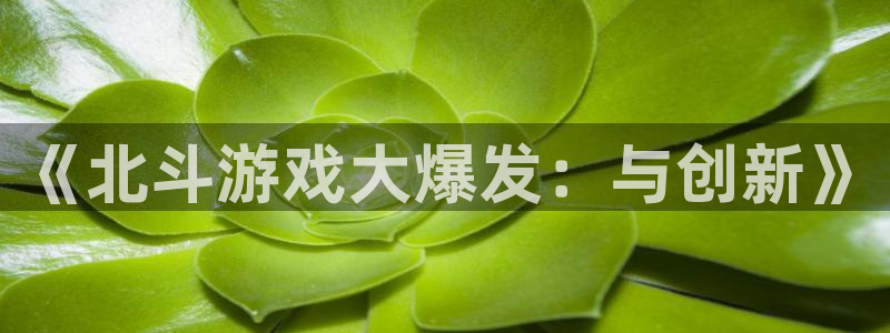bbin视讯官网注册平台怎么注册不了：《北斗游戏大爆发：与创新》