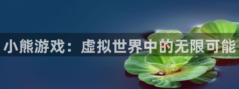 bbin视讯官网登录注册账号安全吗安全吗：小熊游戏：虚拟世界中的无限可能