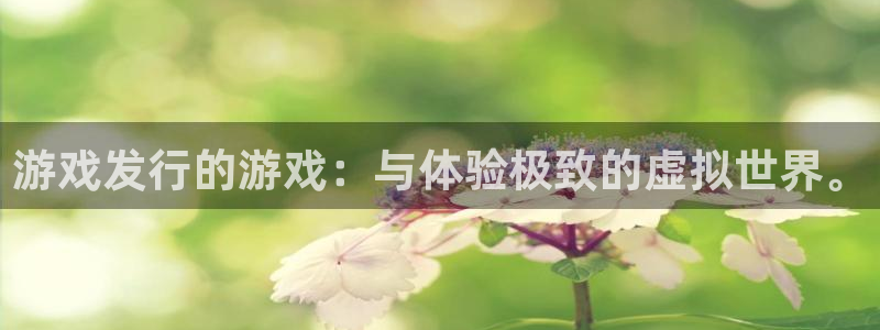 bbin视讯官网注册方法有哪些呢：游戏发行的游戏：与体验极致的虚拟世界。