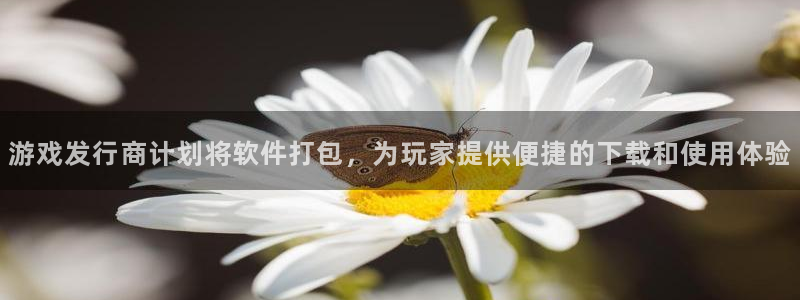 bbin视讯官网是境外的吗：游戏发行商计划将软件打包，为玩家提供便捷的下载和使用体验