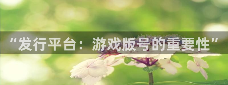 bbin视讯官网登录注册失败：“发行平台：游戏版号的重要性”