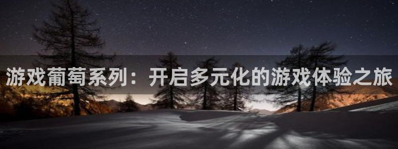 bbin视讯电子商务怎么样