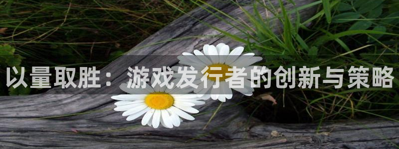 bbin视讯官网注册地址在哪里查：以量取胜：游戏发行者的创新与策略