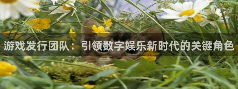 bbin视讯lvnces官网：游戏发行团队：引领数字娱乐新时代的关键角色