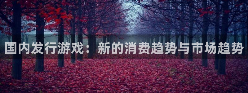 bbin视讯子教育科技(江门)有限公司：国内发行游戏：新的消费趋势与市场趋势