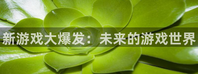 bbin视讯官网注册平台登录入口