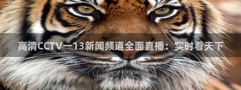 857体育赛事直播无插件：高清CCTV一13新闻频道全面直播：实时看天下