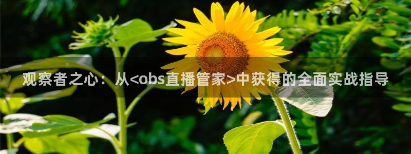 857足球体育赛事直播：观察者之心：从<obs直播管家>中获得的全面实战指导